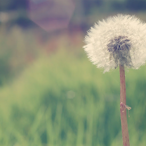 Hd-142336-ascw142336