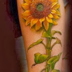 sunflower - tattoo meanings