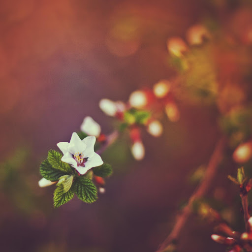 Hd-145448-ascw145448