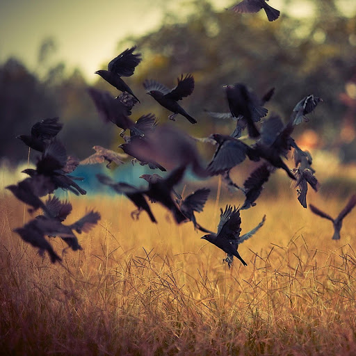 Hd-140827-ascw140827