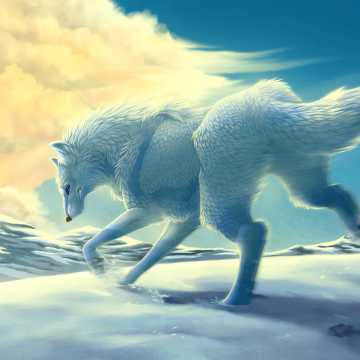 Hd-145004-ascw145004