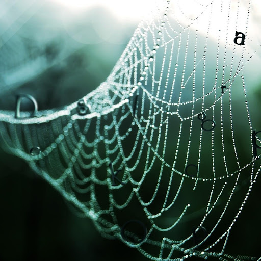 Hd-145225-ascw145225