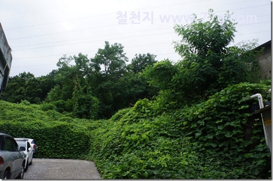 77gDSC03319-20130715-130604