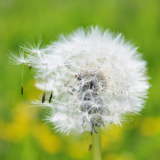 Hd-143871-ascw143871