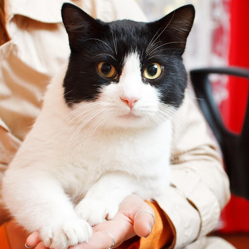 Hd-182503-ascw182503