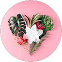 Image Google de Joana Brct