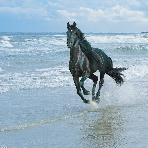 Hd-135703-ascw135703