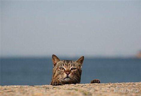 [clip_image033%255B4%255D.jpg]