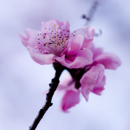 Hd-163644-ascw163644