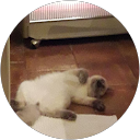 Image Google de martine bertet rous