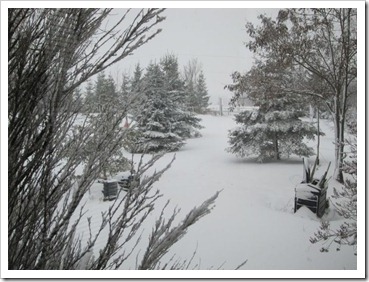 20120224_snow-storm_002