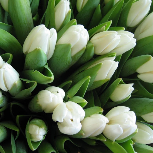 Hd-153359-ascw153359