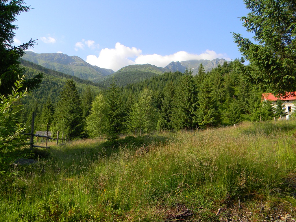 [DSCN76263.jpg]