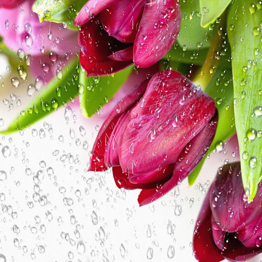 Hd-146760-ascw146760