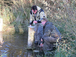 Skjern Au _ Oktober 2012 - 086
