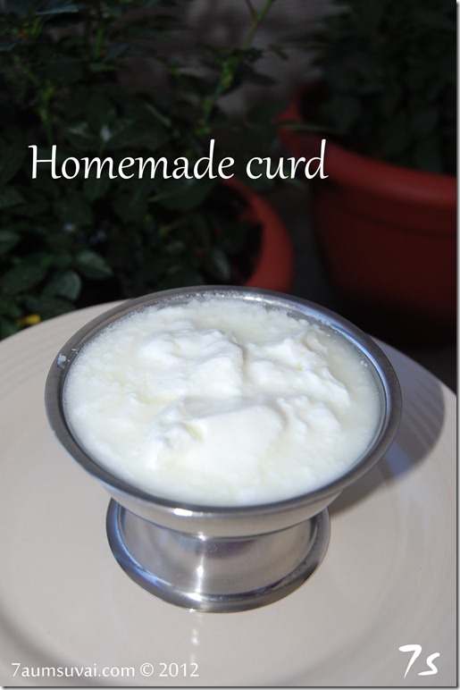 Homemade curd