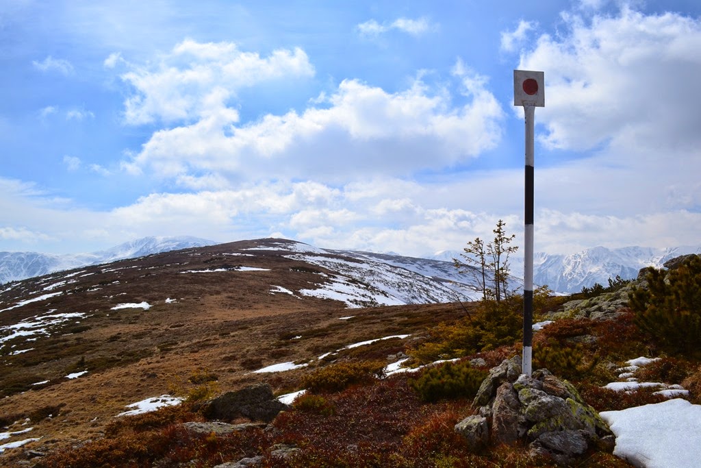 [DSC_66183.jpg]