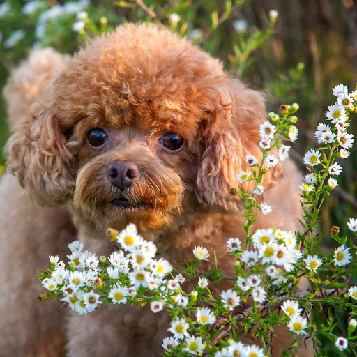 Hd-158719-ascw158719