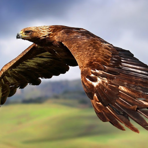 Hd-147036-ascw147036