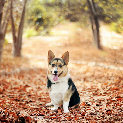 Hd-175876-ascw175876