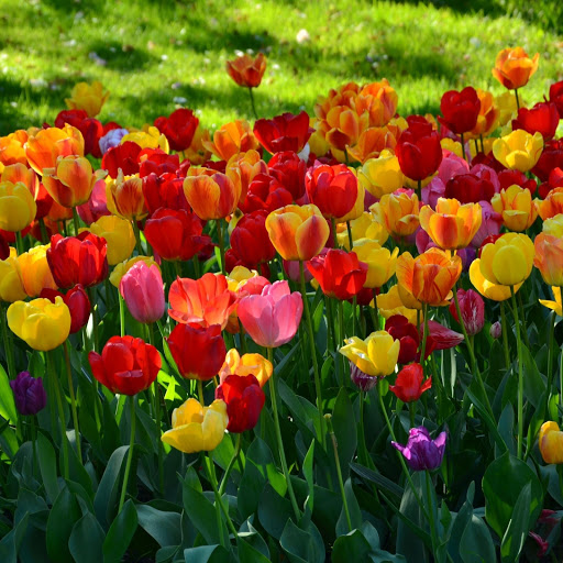 Hd-183570-ascw183570