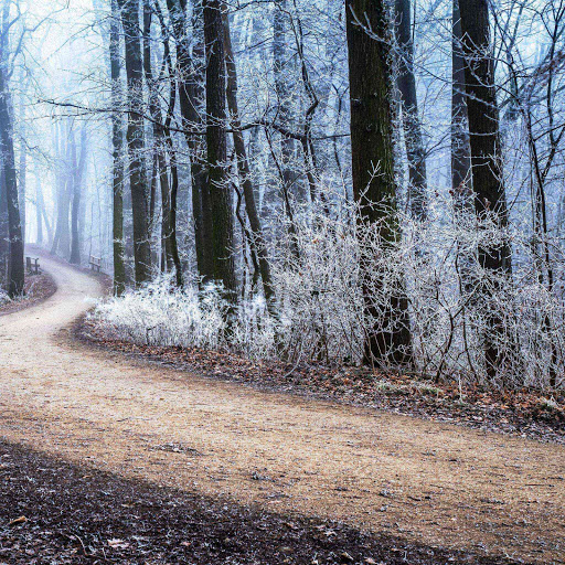 Hd-142092-ascw142092