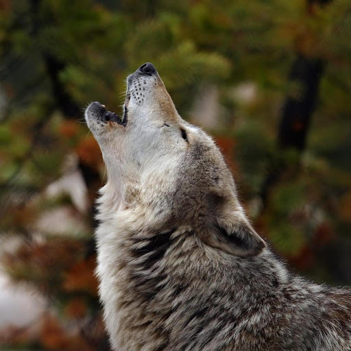 Hd-134668-ascw134668