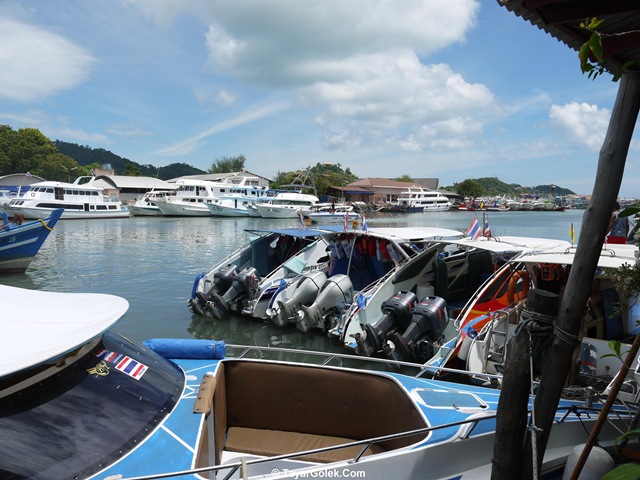 [P10305592.jpg]