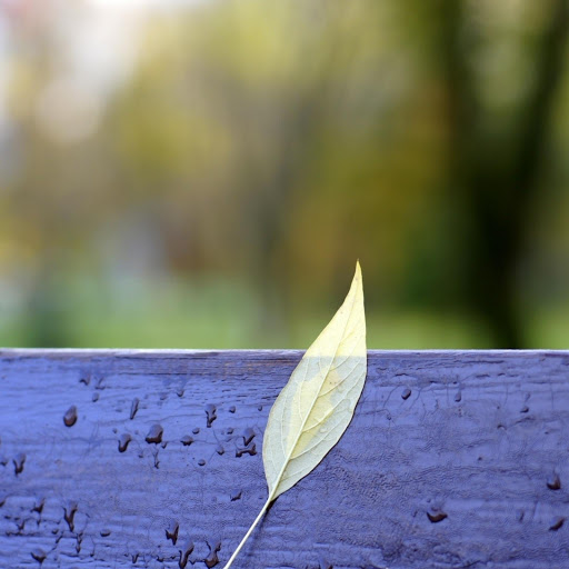 Hd-173196-ascw173196