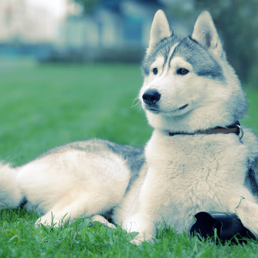 Hd-152534-ascw152534