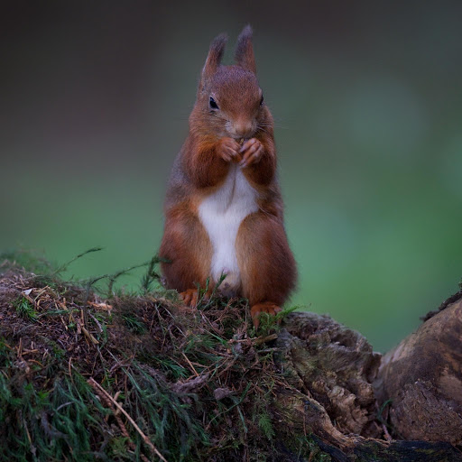 Hd-157056-ascw157056