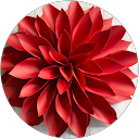 cynthia floress profile picture