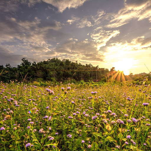 Hd-171863-ascw171863