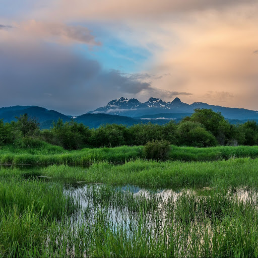 Hd-141995-ascw141995