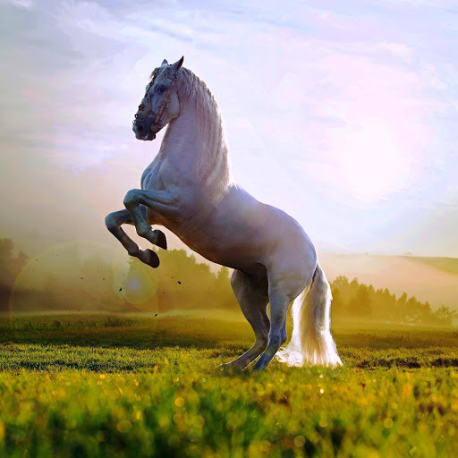 Hd-142063-ascw142063