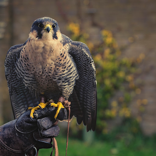 Hd-162588-ascw162588