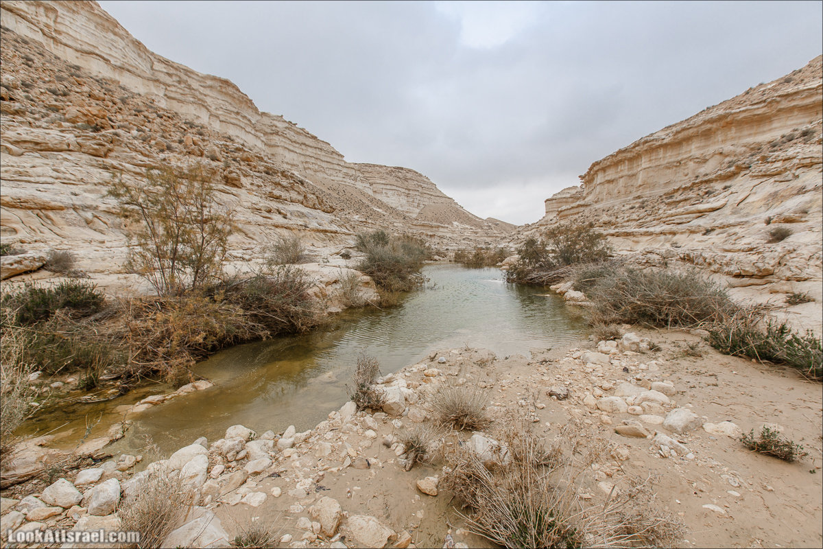 Ручей Акев и источник Эйн Акев в пустыне Негев. LookAtIsrael.com - Фото путешествия по Израилю