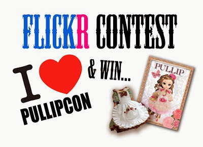 flickr contest pullipcon