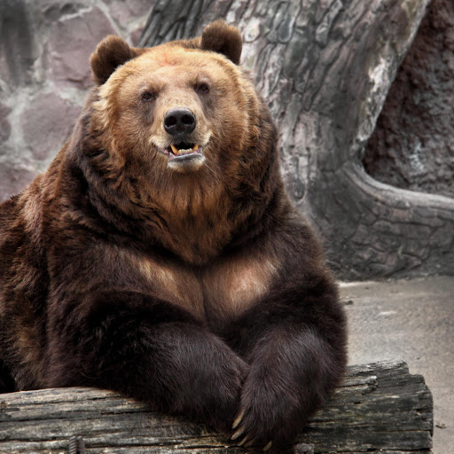 Hd-158948-ascw158948