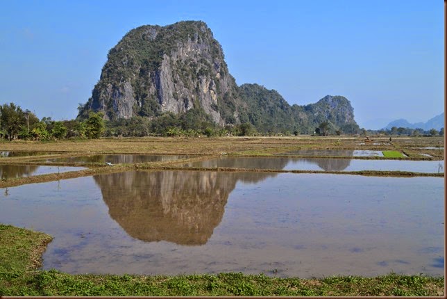 Limestone hills and rice paddies near Chiang Rai 8