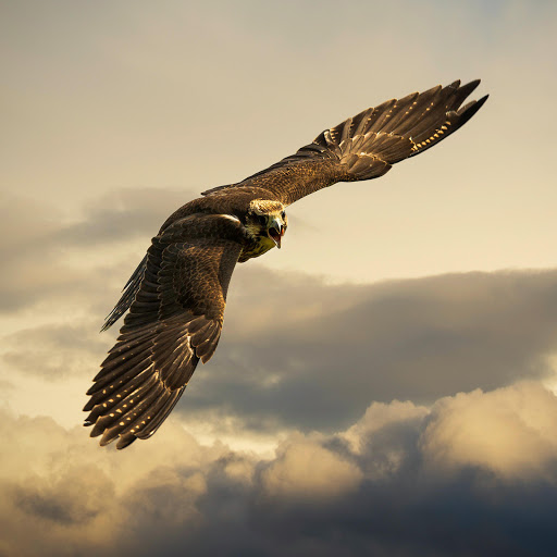 Hd-143225-ascw143225