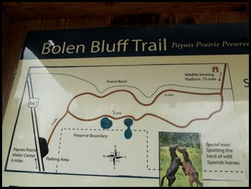 Bolen Bluff Trail-Spring Equinox 040