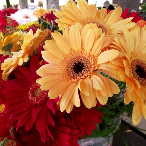 Hd-148235-ascw148235