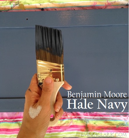 [Hale-Navy13.jpg]