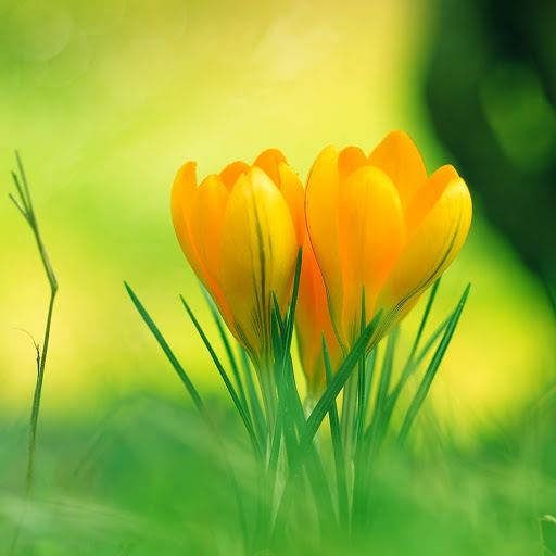 Hd-146788-ascw146788