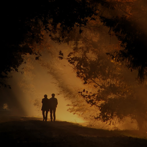 Hd-131305-ascw131305