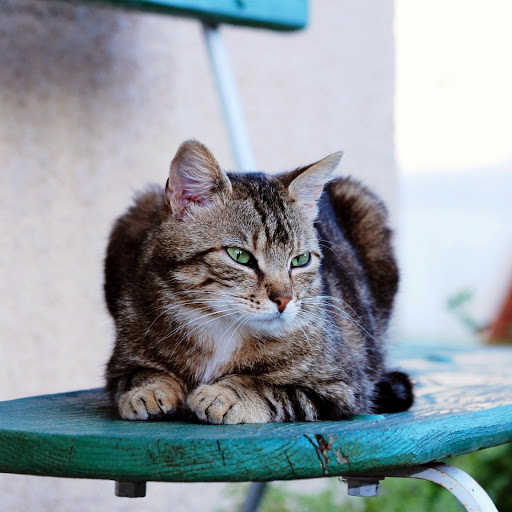 Hd-185596-ascw185596