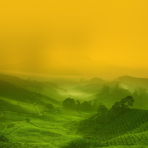 Hd-161344-ascw161344