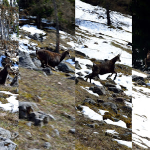 20140329_WandernKönigssee-23.jpg