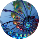 Image Google de CHANDRA